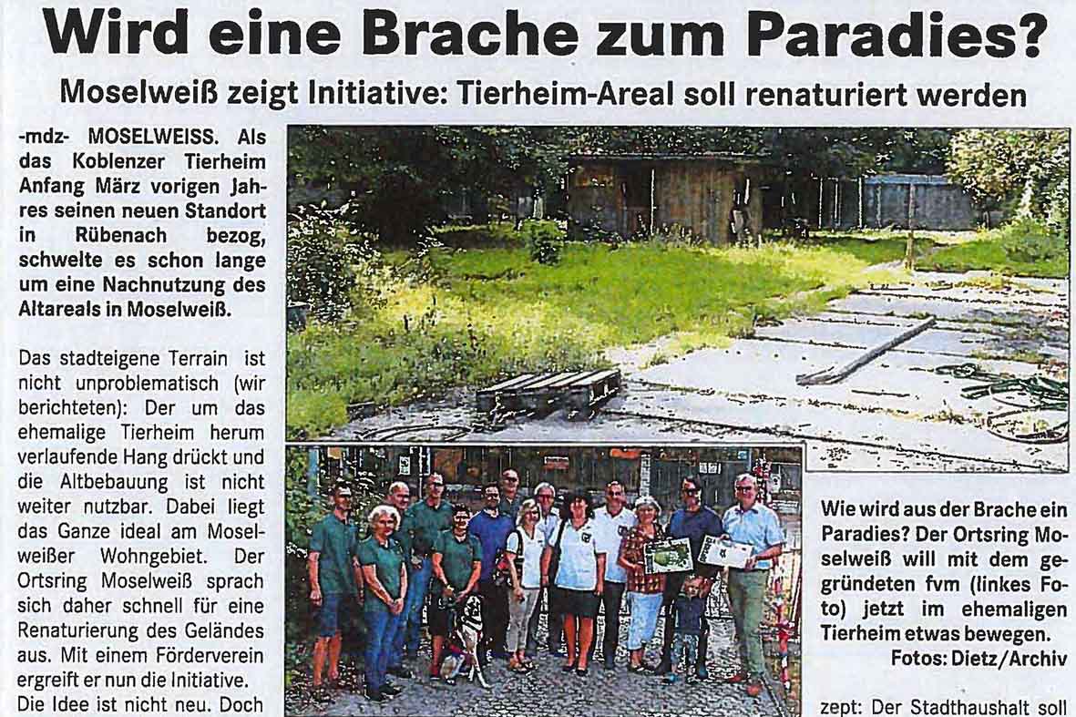 Read more about the article Brache zum Paradies